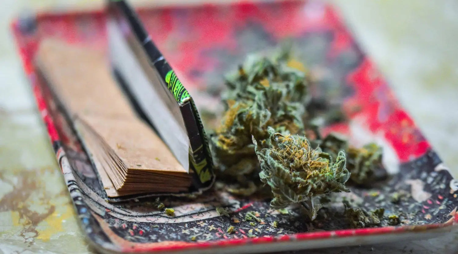 5 Rolling Papers to Give You the Best Joint