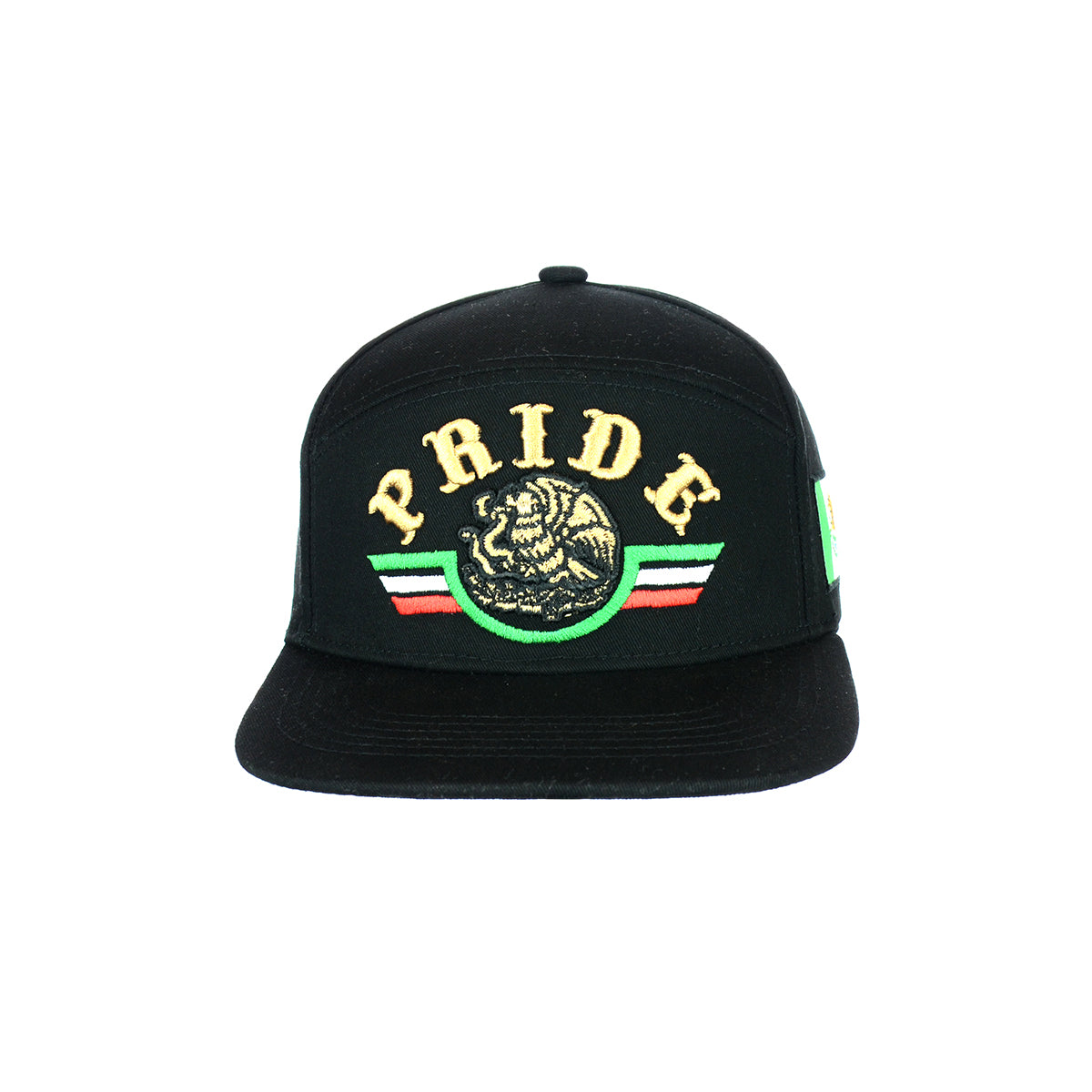 Premium Embroidered Pride Snapback Hat