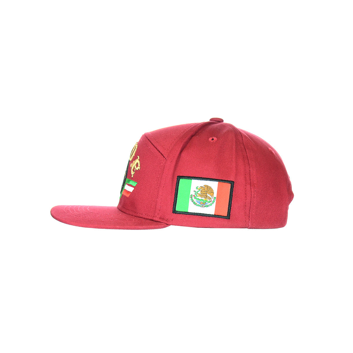 Premium Embroidered Pride Snapback Hat