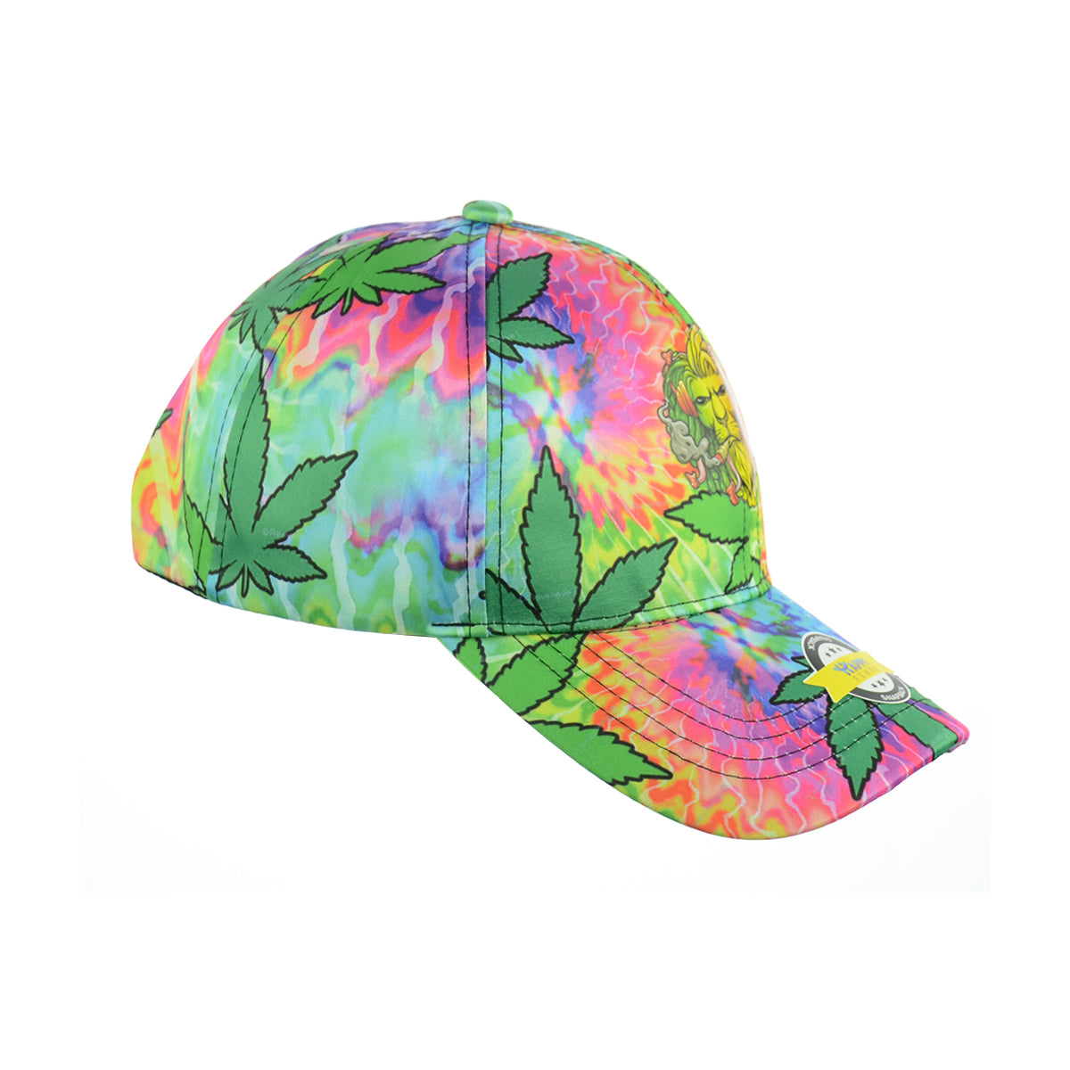 Majestic Lion Baseball Snapback Cap