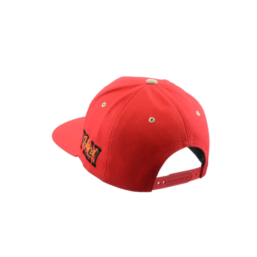 Red baseball cap, Stylish Baseball Hat Embroidered Snapback for sports fans