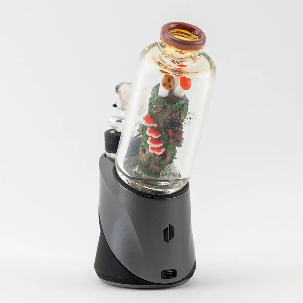 Empire Glassworks Peak Attachment with miniature redwood forest in glass bottle