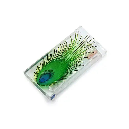 Handmade acrylic peacock dugout with vibrant green feather in resin
