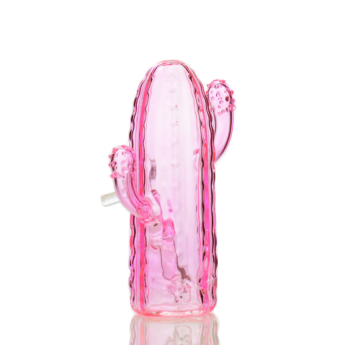 Desert Bloom Cactus Water Pipe for Herbal Use