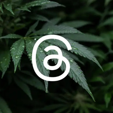 A Guide for Cannabis Companies: Navigating Content Regulations on Meta’s New @threads Platform