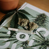 The Art of Enjoying Marijuana with Style and Discretion