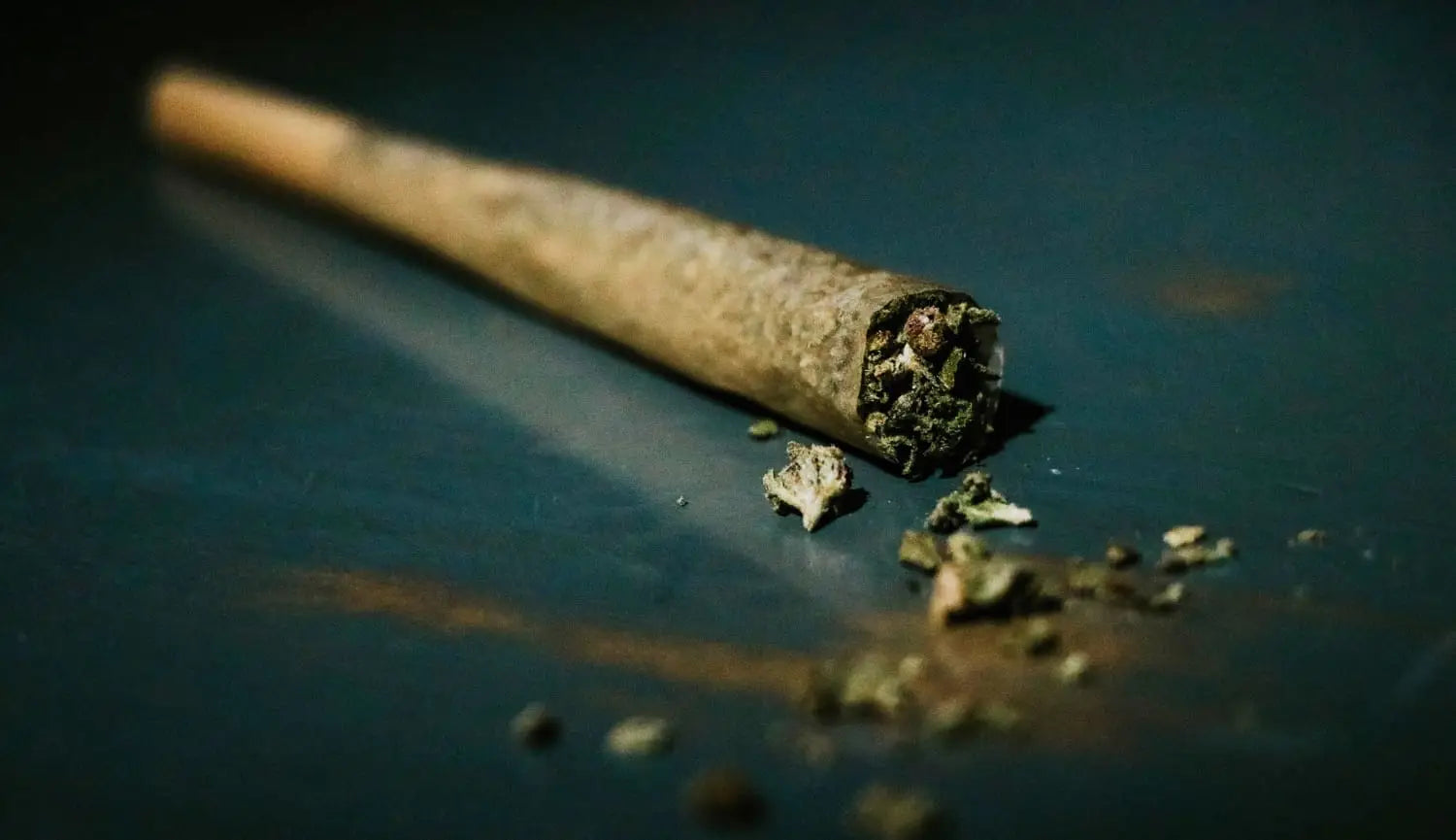 CBD Pre-Rolls: It’s Not as Difficult as You Think