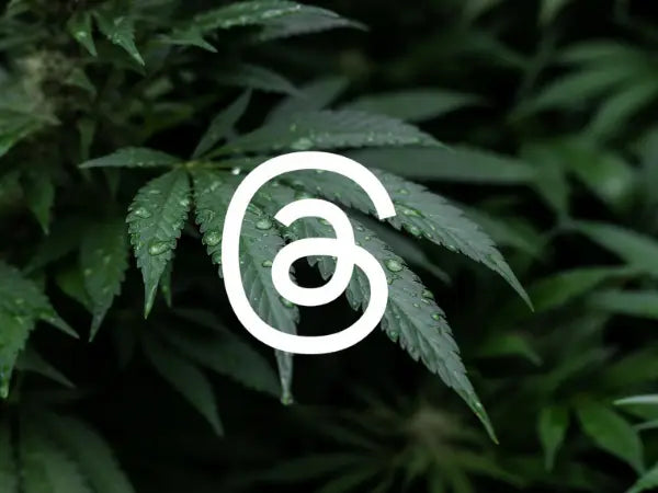 A Guide for Cannabis Companies: Navigating Content Regulations on Meta's New @threads Platform