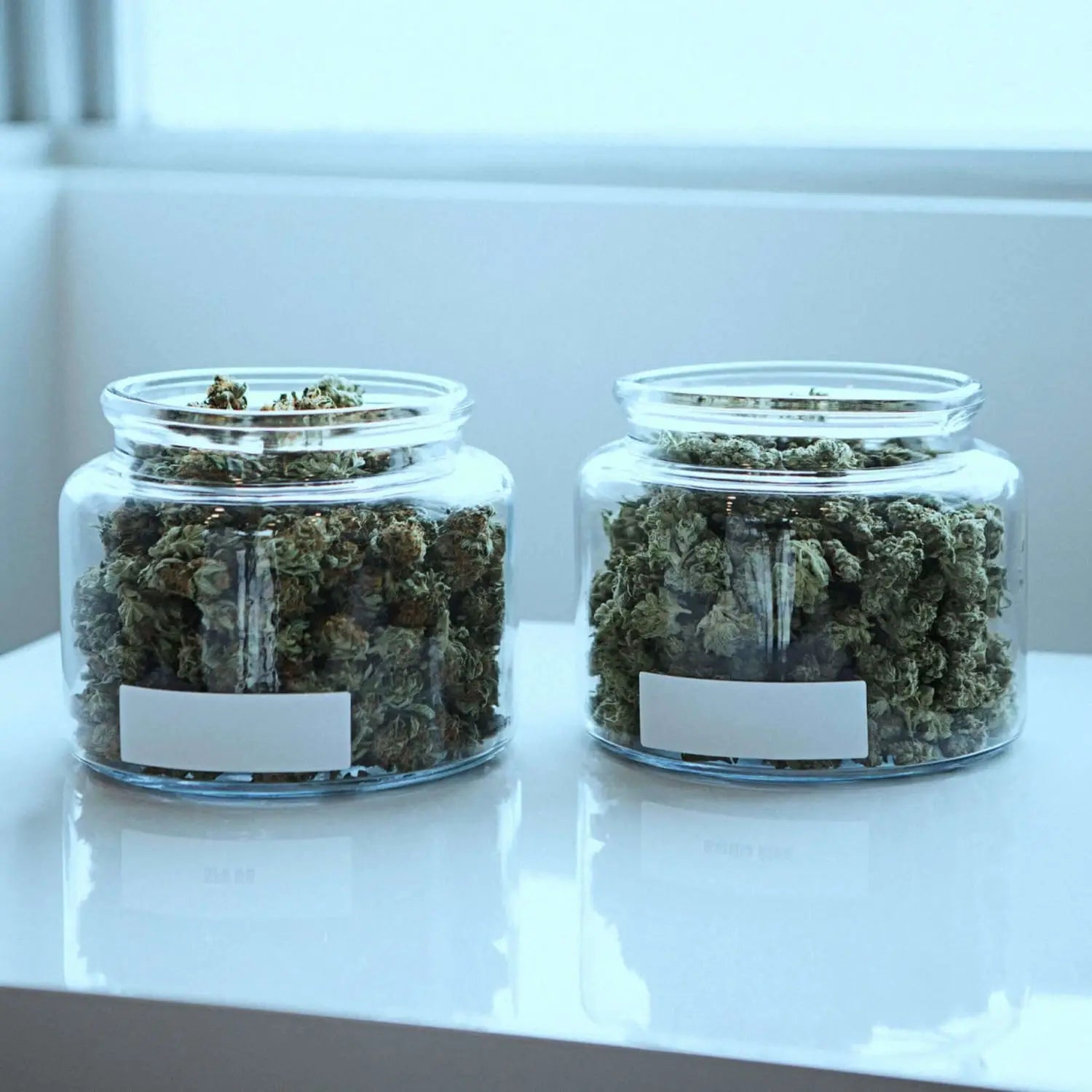 How important is a Marijuana Delivery Dispensary in Toronto?