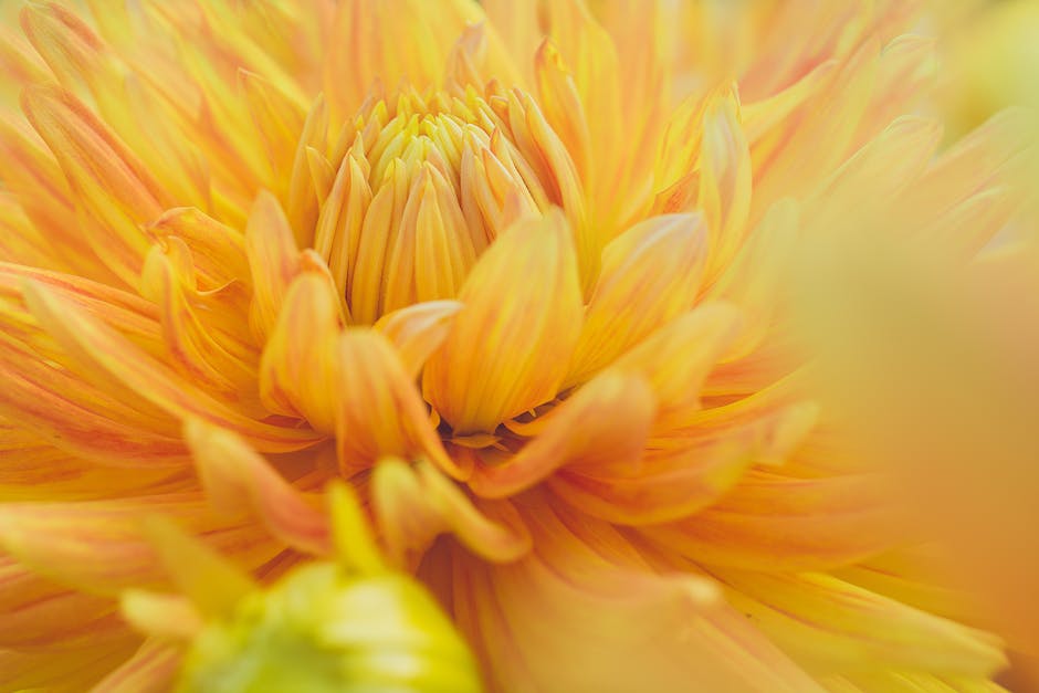 From Novice to Expert: How to Use a Pollen Press Like a Pro