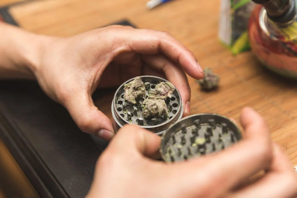 Smoking Prep: The Top Benefits of Using a Marijuana Grinder