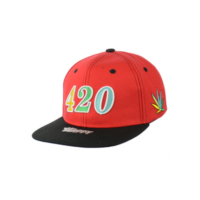 Premium Cotton Leaf Embroidered Snapback Hat