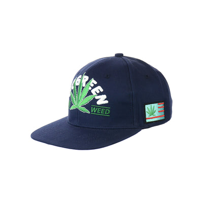 Sustainable Leaf Design Snapback Hat