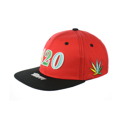 Premium Cotton Leaf Embroidered Snapback Hat