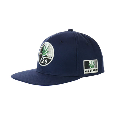 Distinctive Leaf Embroidered Snapback Hat
