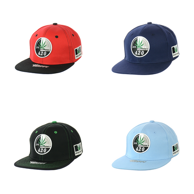 Distinctive Leaf Embroidered Snapback Hat