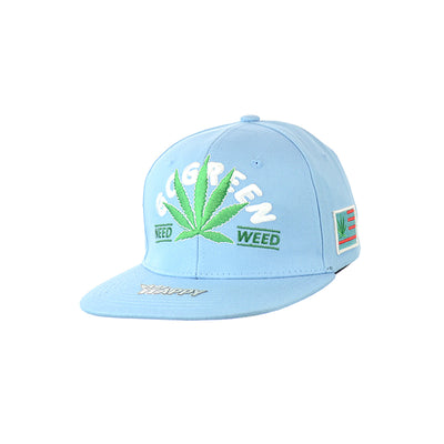 Sustainable Leaf Design Snapback Hat
