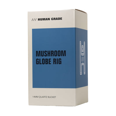 Artisan Mushroom Perc Glass Dab Rig