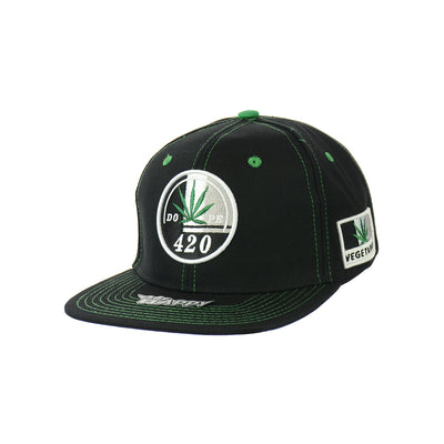 Distinctive Leaf Embroidered Snapback Hat