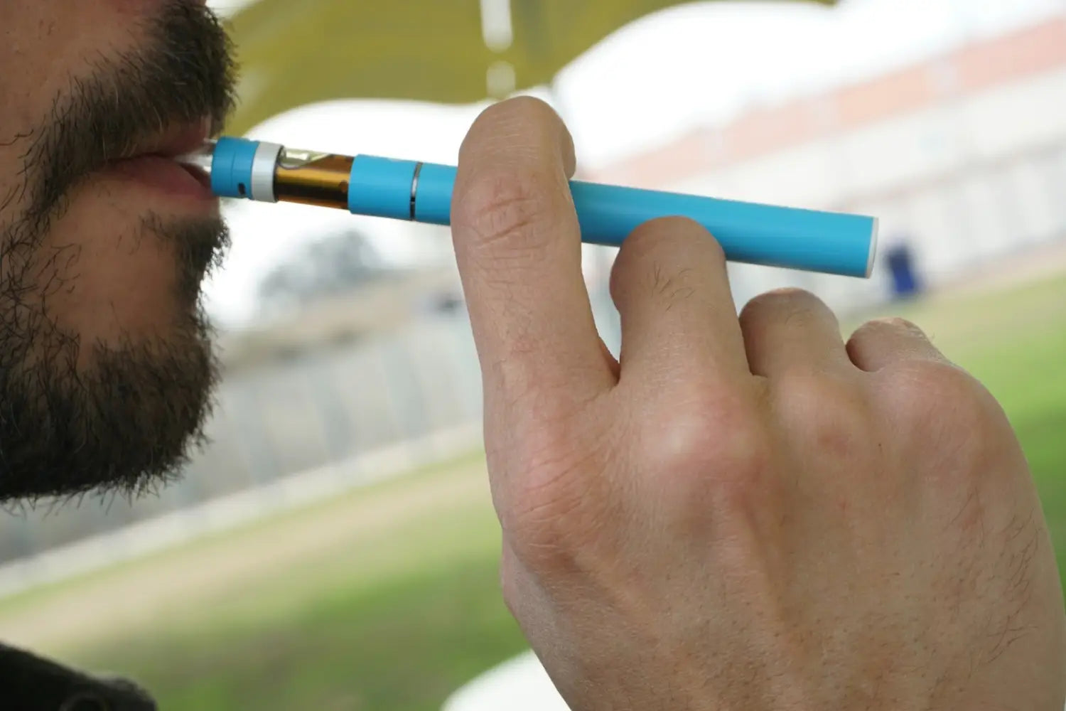 How Terpenes Add a New Dimension to Dry Herb Vaporizing
