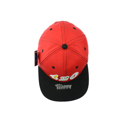Premium Cotton Leaf Embroidered Snapback Hat
