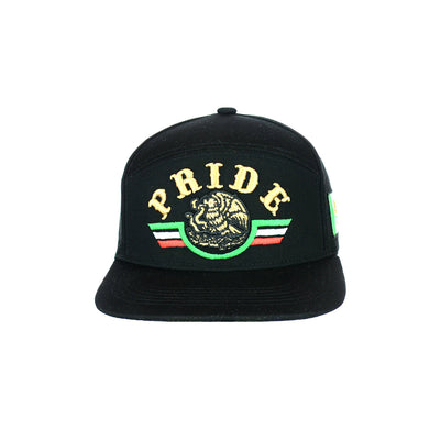 Premium Embroidered Pride Snapback Hat