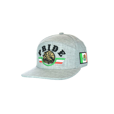 Premium Embroidered Pride Snapback Hat
