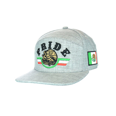 Premium Embroidered Pride Snapback Hat