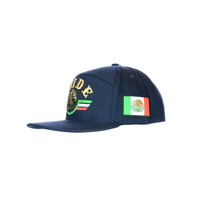 Premium Embroidered Pride Snapback Hat