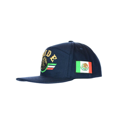 Premium Embroidered Pride Snapback Hat