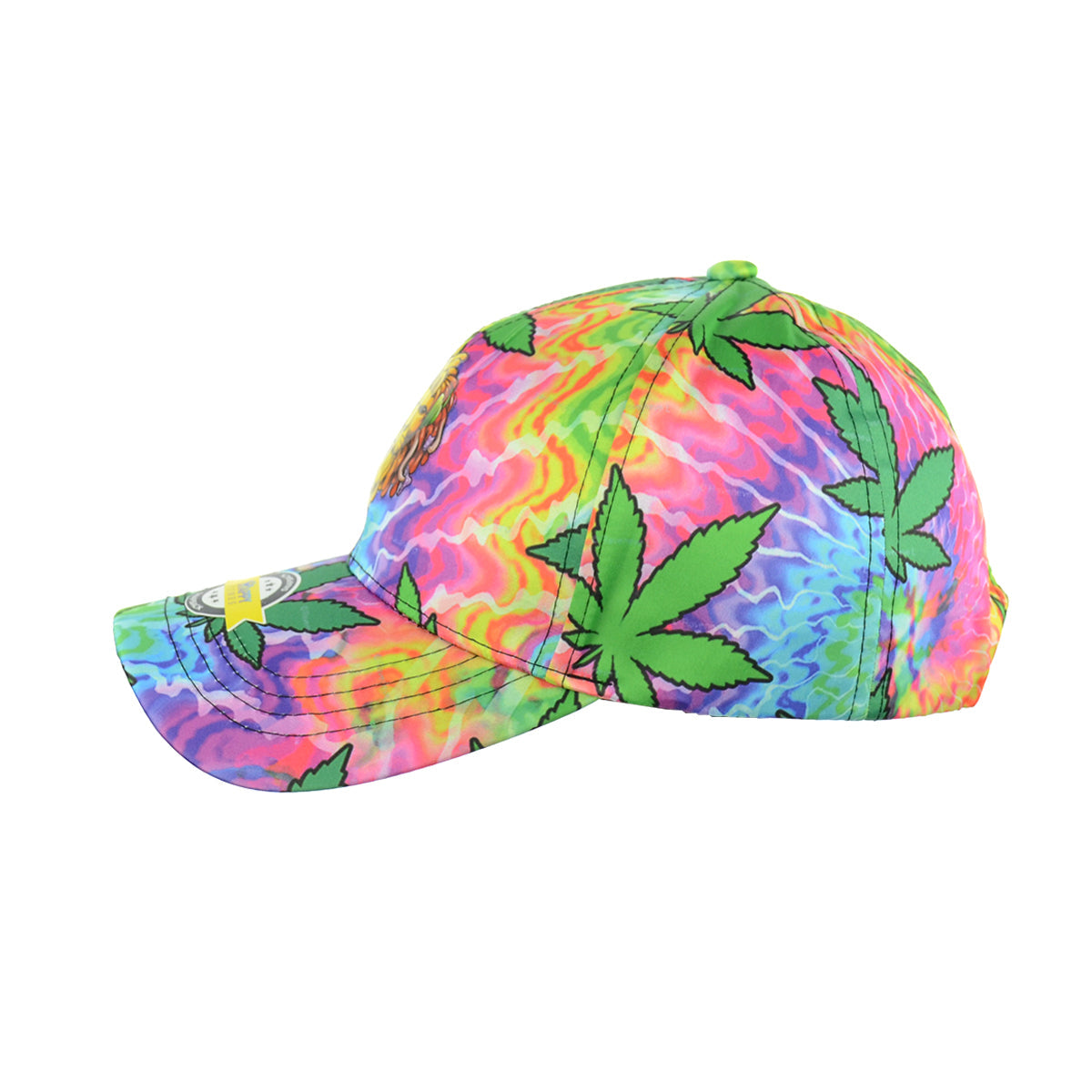 Majestic Lion Baseball Snapback Cap