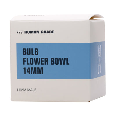 Premium Borosilicate Bulb Flower Bowls