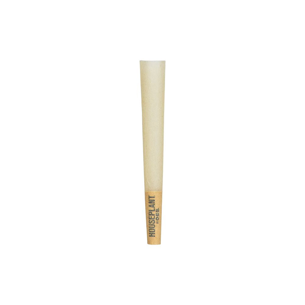 32CT DISPLAY - Houseplant by OCB Cones - Bamboo / 8pc / Mini – image 3