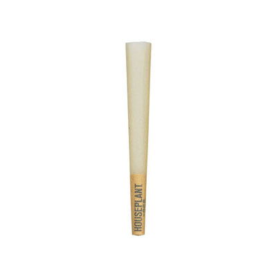 32CT DISPLAY - Houseplant by OCB Cones - Bamboo / 6pc / 1 1/4" – image 3