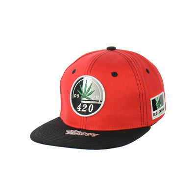 Distinctive Leaf Embroidered Snapback Hat