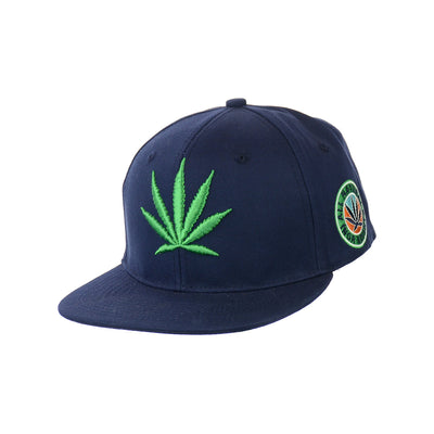 Premium Botanical Leaf Embroidered Snapback