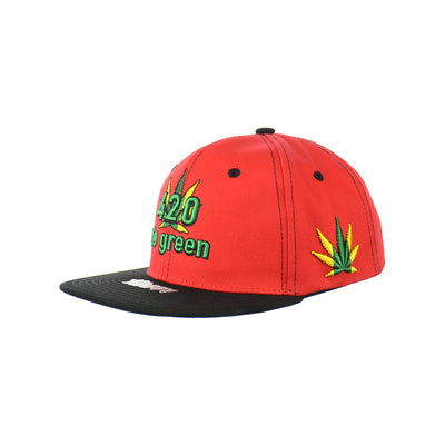 Go Green Embroidered Cotton Snapback Hat