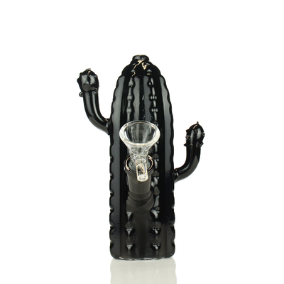 Desert Bloom Cactus Water Pipe for Herbal Use