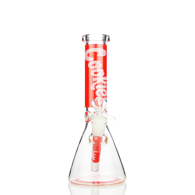 Sturdy 10-inch Beaker Glass Water Pipe