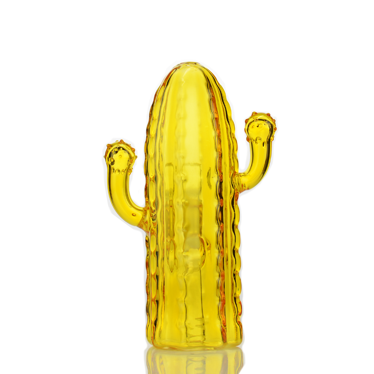 Desert Bloom Cactus Water Pipe for Herbal Use