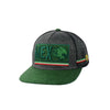 Mexico Snapback Hat featuring green ’MEX’ eagle logo on dark gray background