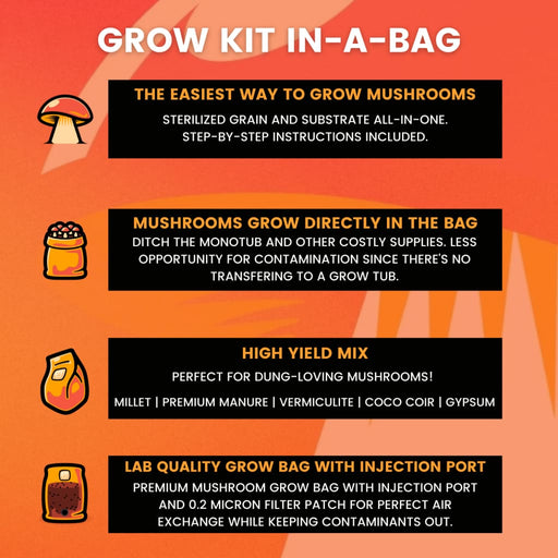 Mushroom Grow Kit In a Bag™ On sale
