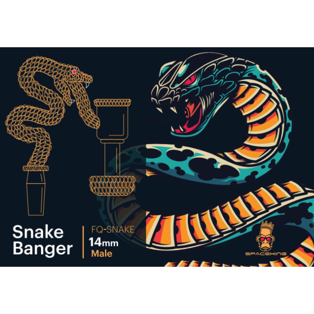 Colorful, Fierce Space King Snake Banger Set With Unique Quartz Design
