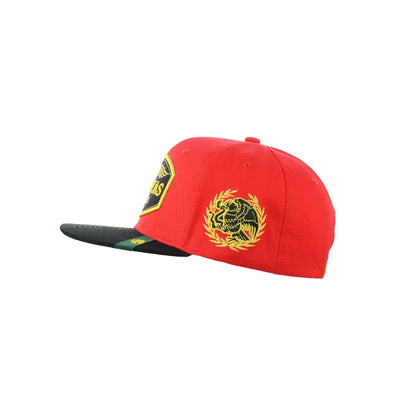 Red zacatecas embroidered snapback hat with stylish embroidered designs