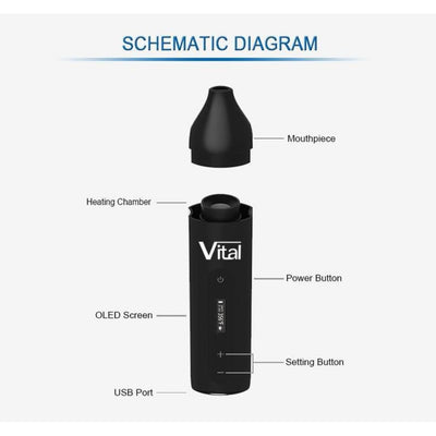 Xvape Vital dry herb vaporizer with black cylindrical body, OLED screen, ceramic chamber